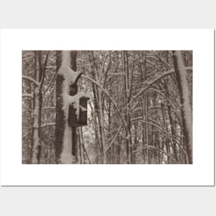 Bird feeder on a tree in winter Posters and Art